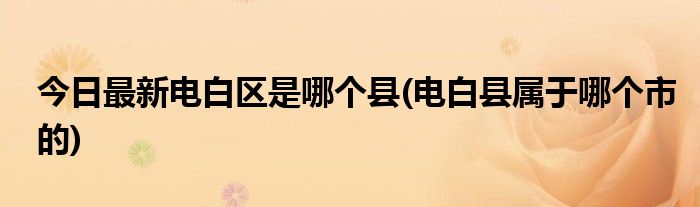 今日最新电白区是哪个县(电白县属于哪个市的)