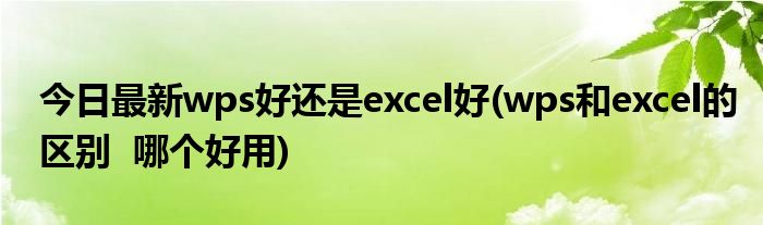 今日最新wps好还是excel好(wps和excel的区别 哪个好用)