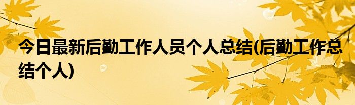 今日最新后勤工作人员个人总结(后勤工作总结个人)