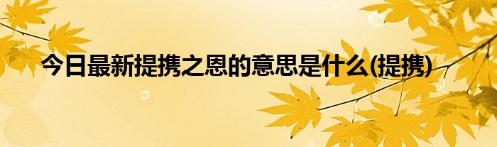今日最新提携之恩的意思是什么(提携)