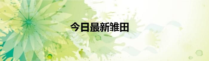 今日最新雏田