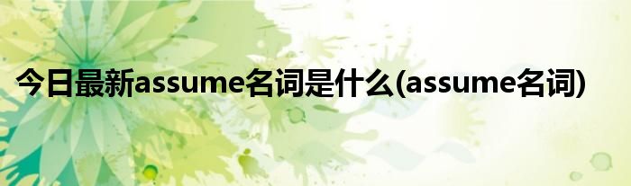 今日最新assume名词是什么(assume名词)