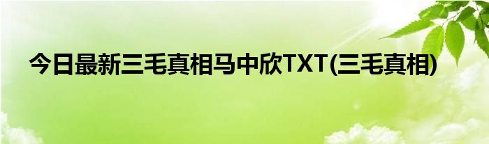 今日最新三毛真相马中欣TXT(三毛真相)