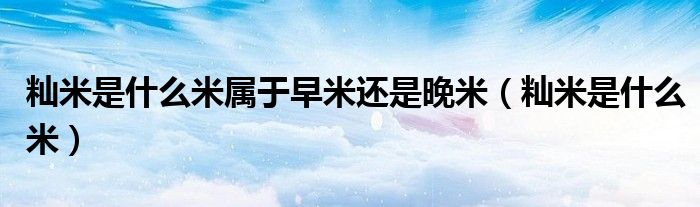 籼米是什么米属于早米还是晚米(籼米是什么米)