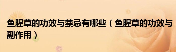 鱼腥草的功效与禁忌有哪些(鱼腥草的功效与副作用)