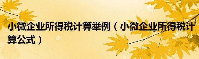 小微企业所得税计算举例(小微企业所得税计算公式)