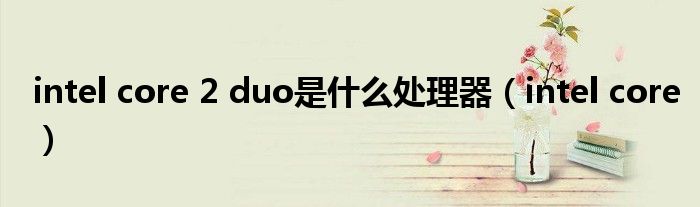 intel core 2 duo是什么处理器(intel core)