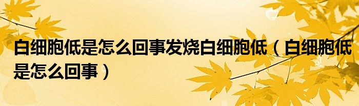 白细胞低是怎么回事发烧白细胞低(白细胞低是怎么回事)