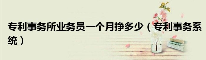 专利事务所业务员一个月挣多少(专利事务系统)