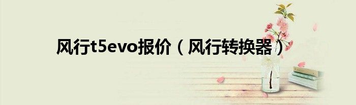 风行t5evo报价(风行转换器)
