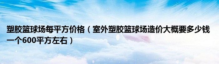 塑胶篮球场每平方价格(室外塑胶篮球场造价大概要多少钱 一个600平方左右)