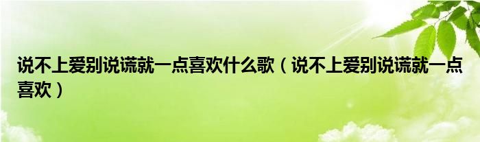 说不上爱别说谎就一点喜欢什么歌(说不上爱别说谎就一点喜欢)