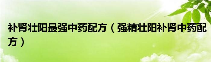 补肾壮阳最强中药配方(强精壮阳补肾中药配方)
