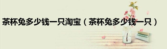 茶杯兔多少钱一只淘宝(茶杯兔多少钱一只)