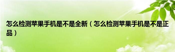 怎么检测苹果手机是不是全新（怎么检测苹果手机是不是正品）