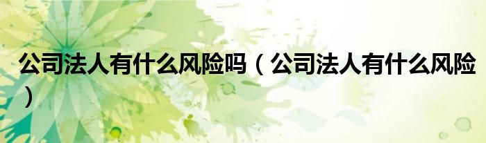 公司法人有什么风险吗(公司法人有什么风险)