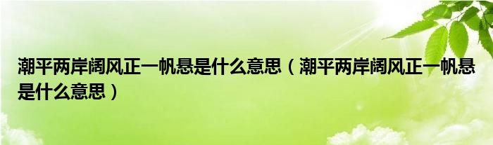 潮平两岸阔风正一帆悬是什么意思(潮平两岸阔风正一帆悬是什么意思)
