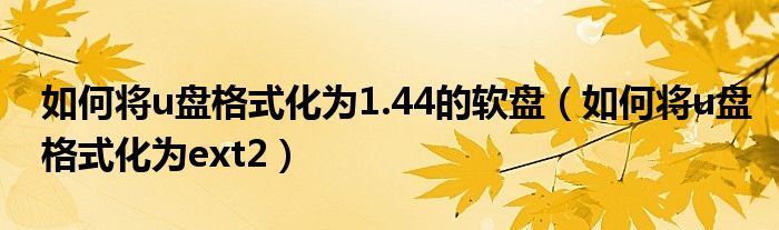 如何将u盘格式化为1.44的软盘（如何将u盘格式化为ext2）