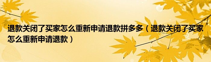 退款关闭了买家怎么重新申请退款拼多多(退款关闭了买家怎么重新申请退款)