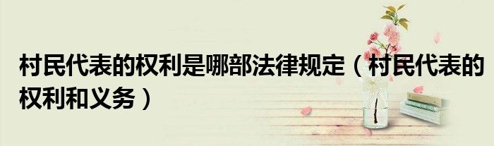 村民代表的权利是哪部法律规定(村民代表的权利和义务)