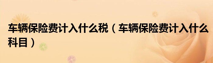 车辆保险费计入什么税(车辆保险费计入什么科目)