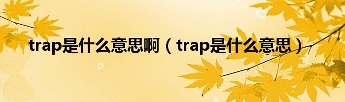 trap是什么意思啊(trap是什么意思)