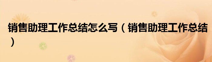 销售助理工作总结怎么写(销售助理工作总结)