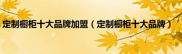 定制橱柜十大品牌加盟(定制橱柜十大品牌)