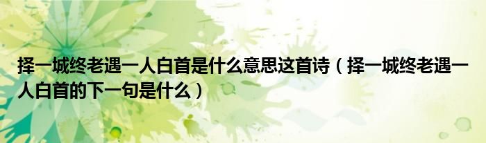 择一城终老遇一人白首是什么意思这首诗(择一城终老遇一人白首的下一句是什么)