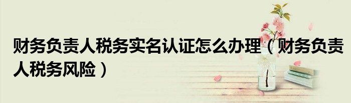 财务负责人税务实名认证怎么办理(财务负责人税务风险)