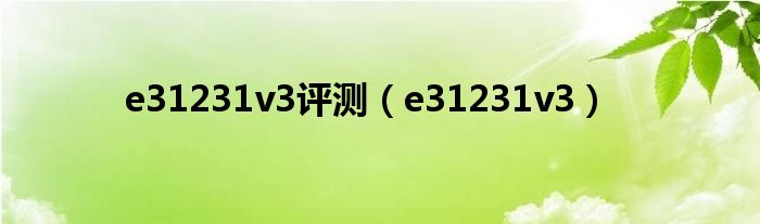 e31231v3评测（e31231v3）