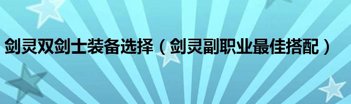 剑灵双剑士装备选择(剑灵副职业最佳搭配)