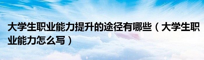 大学生职业能力提升的途径有哪些(大学生职业能力怎么写)