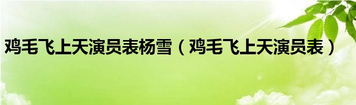 鸡毛飞上天演员表杨雪(鸡毛飞上天演员表)