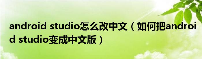 android studio怎么改中文(如何把android studio变成中文版)