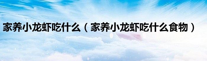 家养小龙虾吃什么(家养小龙虾吃什么食物)