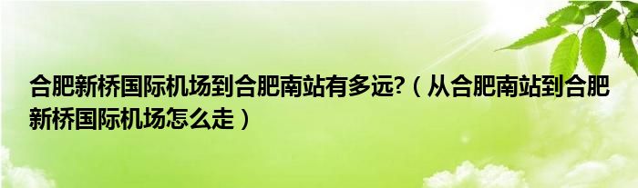 合肥新桥国际机场到合肥南站有多远?(从合肥南站到合肥新桥国际机场怎么走)