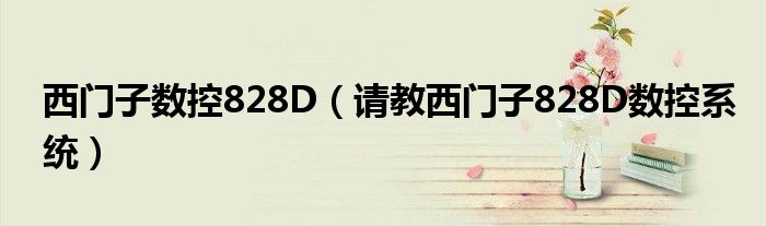 西门子数控828D(请教西门子828D数控系统)