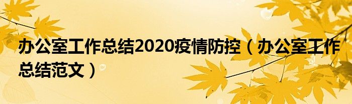 办公室工作总结2020疫情防控(办公室工作总结范文)