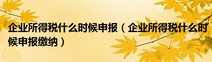 企业所得税什么时候申报(企业所得税什么时候申报缴纳)