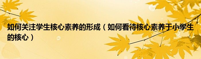 如何关注学生核心素养的形成(如何看待核心素养于小学生的核心)