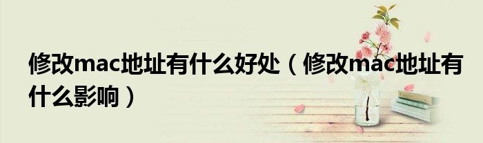 修改mac地址有什么好处(修改mac地址有什么影响)