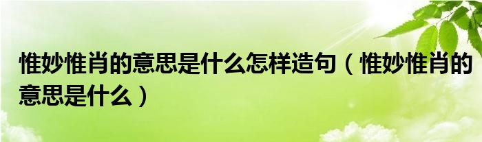 惟妙惟肖的意思是什么怎样造句(惟妙惟肖的意思是什么)
