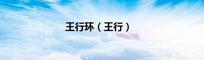 王行环（王行）