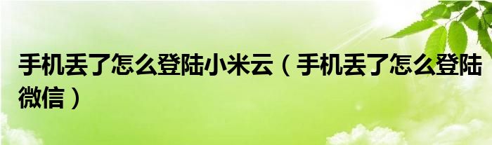 手机丢了怎么登陆小米云(手机丢了怎么登陆微信)