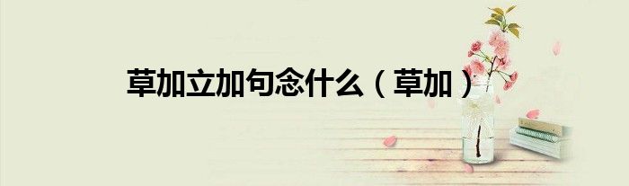 草加立加句念什么（草加）