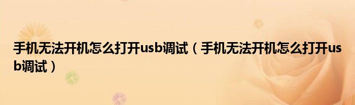 手机无法开机怎么打开usb调试(手机无法开机怎么打开usb调试)