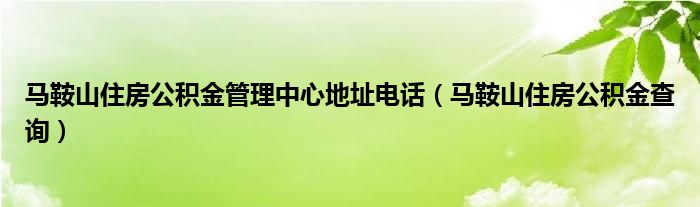 马鞍山住房公积金管理中心地址电话(马鞍山住房公积金查询)