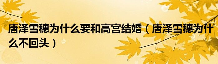 唐泽雪穗为什么要和高宫结婚(唐泽雪穗为什么不回头)