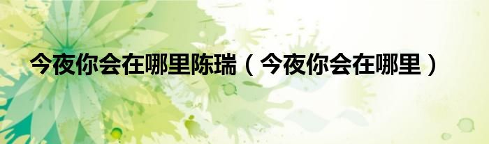 今夜你会在哪里陈瑞(今夜你会在哪里)